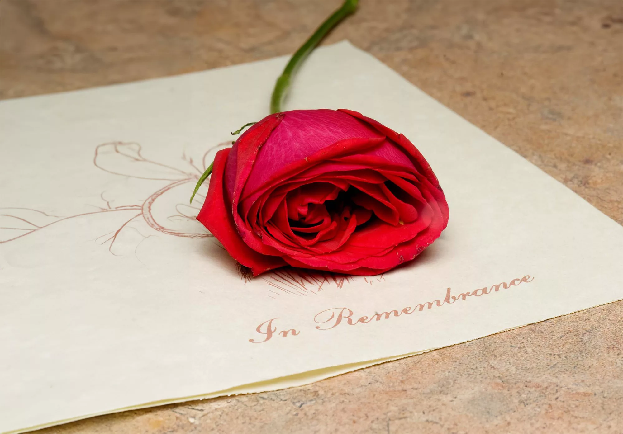 A funeral remembrance card with a single red rose.