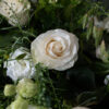 whites and greens